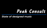 peakconsult_logo.jpg