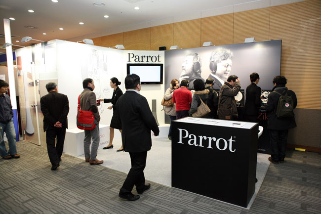 parrot01.jpg