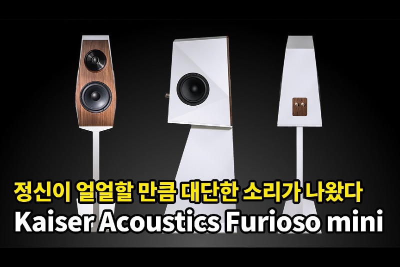 Kaiser Acoustics Furioso Mini 