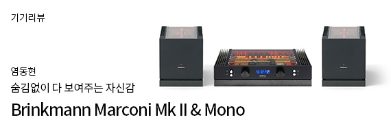 Brinkmann Marconi Mk II Preamplifier & Mono Power Amplifier