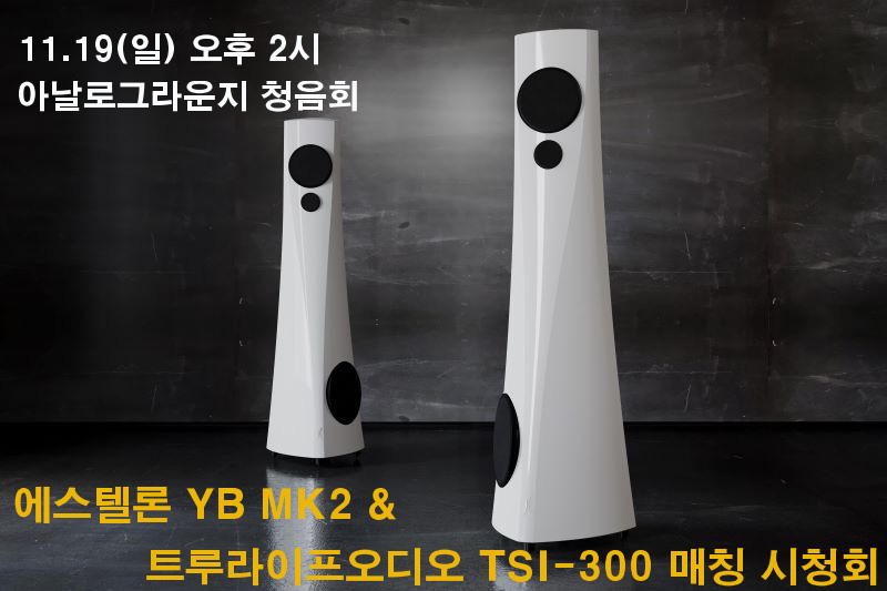 [ûȸ] ڷ YB & Ʈ TSI-300 ûȸ ȳմϴ.