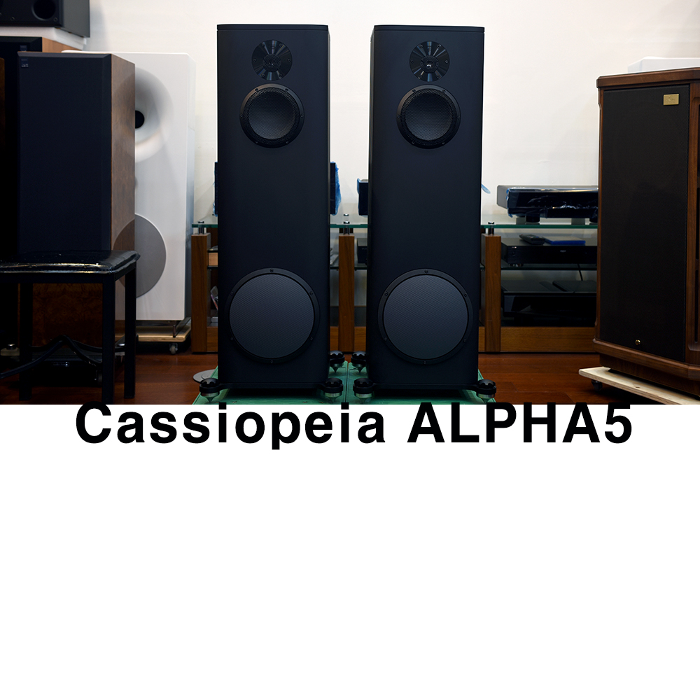 Cassiopeia acoustic ALPHA 5 Ŀ ߰ ŵ